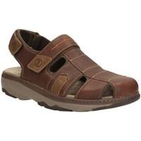 Clarks Raffe Bay Mens Casual Sandals men\'s Sandals in brown
