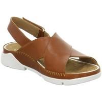 Clarks Tri Alexia women\'s Sandals in Brown