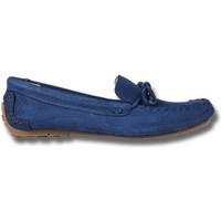 Clarks Natala Rio women\'s Loafers / Casual Shoes in Blue