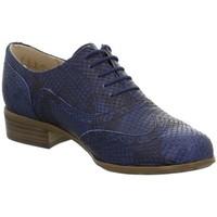 Clarks Hamble Oak Dame women\'s Casual Shoes in Blue