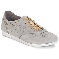 Clarks Tri Actor women\'s Shoes (Trainers) in grey