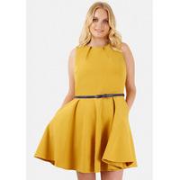 Closet Curves Mustard Belted Skater Dress