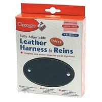 Clippasafe Leather Harness And Reins