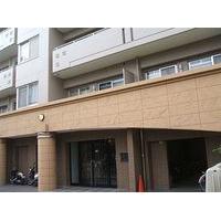 CMM Melody Haim Matsubara