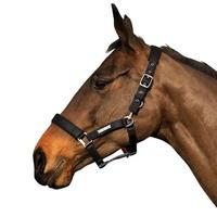 Cottage Craft Turnout Safe Headcollar