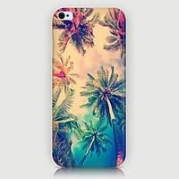 Coconut Palm Pattern Back Case for iPhone5/5S