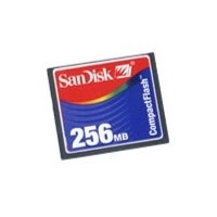 Compact Flash Card 1GB