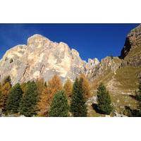 cortina the queen of the dolomites with lunch from venice