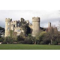 combination tour malahide castle and 1 hour dublin night tour by bus