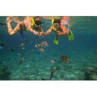 Cozumel Snorkel Adventure from Cancun