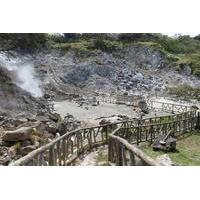 Combo Tour: Zipline, Horseback Riding and Hot Springs in Guanacaste