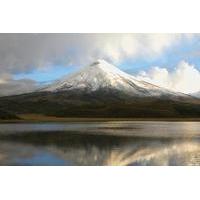 Cotopaxi National Park Private Tour from Quito