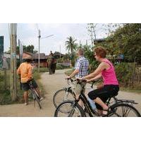 Colors of Ayutthaya Full-Day Bike Tour