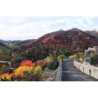 Coach Tour: Mutianyu Great Wall Day Trip with Lunch