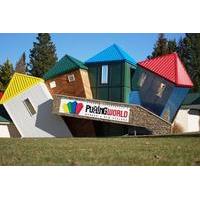 Combo Admission to Puzzling World