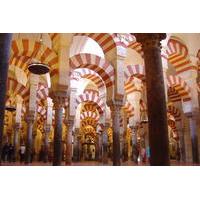 cordoba private tour from seville