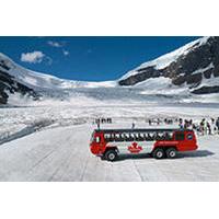 Columbia Icefield Tour including the Glacier Skywalk from Calgary