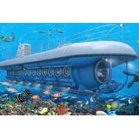 cozumel shore excursion atlantis submarine adventure