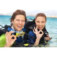 costa maya shore excursion scuba diving beginners course