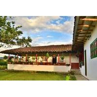 Coffee Tour at La Finca del Café in Santa Rosa del Cabal