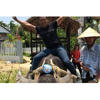 Countryside Water Buffalo Cart Ride of Cam Thanh Village