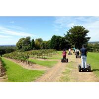 Coolangatta Vineyard Segway Tour