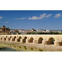 Cordoba Day Trip from Malaga