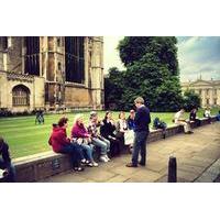 Combo ticket: Punting and Walking Tour in Cambridge