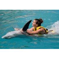 Cozumel Dolphin Swim and Ride Program