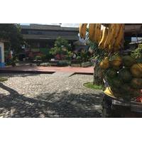 Combo Tour: Medellín City Tour and Antioquia?s Food Markets Including Traditional Lunch