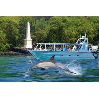 COMBO: Kealakekua Bay and Wild Dolphin Snorkel with Lunch