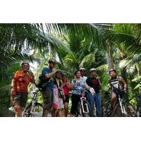 Countryside Bike Tour Including Floating Markets and Canal Boat Ride