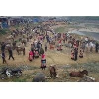 Colorful Local Markets of Sapa Tour