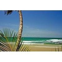 Coastal Tour of Trinidad