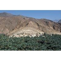 Cool and Green Garden Tour from Muscat