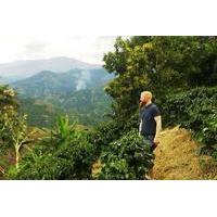 Coffee Plantation and Jardín City Day-Tour