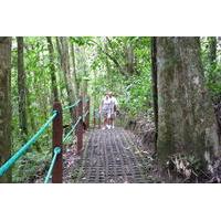 combination tour with hanging bridges waterfall volcano hike and hot s ...