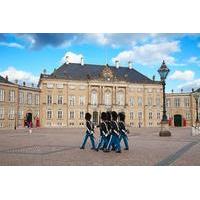 Copenhagen Panoramic City Tour with Tivoli Gardens