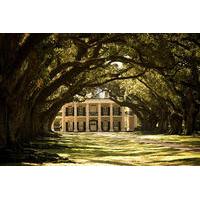 Combo Oak Alley Plantation and 6-Passenger Airboat Tour