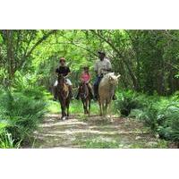 Countryside Horseback Riding at Scape Park