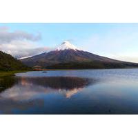 Cotopaxi Full-Day Tour from Quito