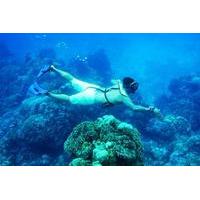 Cozumel Snorkeling Tour from Cancun and Riviera Maya