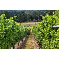 cowichan valley wine tour in vancouver island