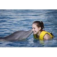 cozumel dolphin trainer for a day program