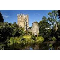 Cork Shore Excursion: Cork Tour Including Kinsale and Blarney Castle