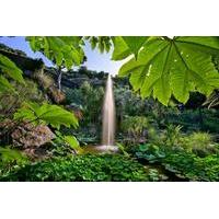 Coach Tour of Ischia and La Mortella Botanic Gardens from Sorrento