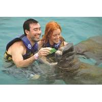 Cozumel Super Saver: Manatees Encounter and Sea Lion Discovery at Chankanaab Park