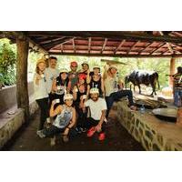 costa rica adventure tour including vandara hot springs and canopy zip ...