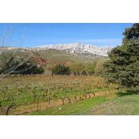 Cotes de Provence Wine Tour from Aix-en-Provence
