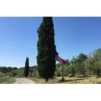 Contemporary Art In The Chianti Hills